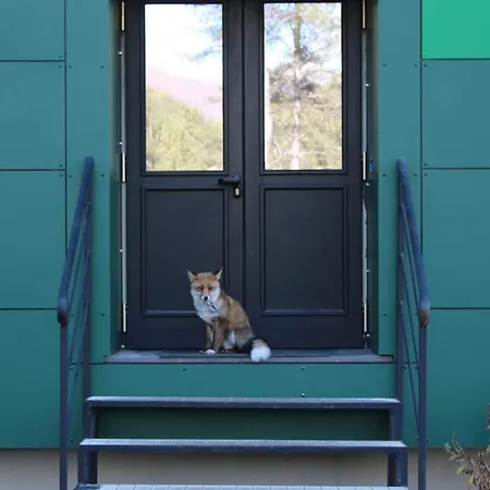 Acampora Ciro Privato Club Primula 3*