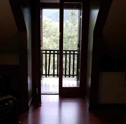 Acampora Ciro Privato Club Primula