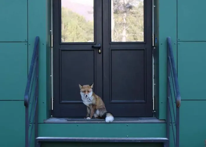 Acampora Ciro Privato Club Primula 3*