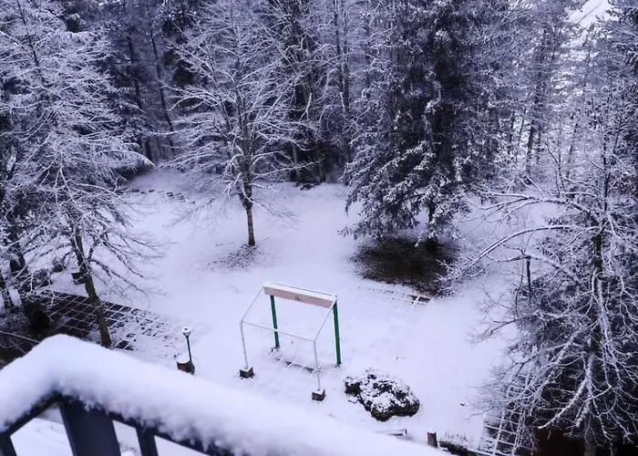 Acampora Ciro Privato Club Primula